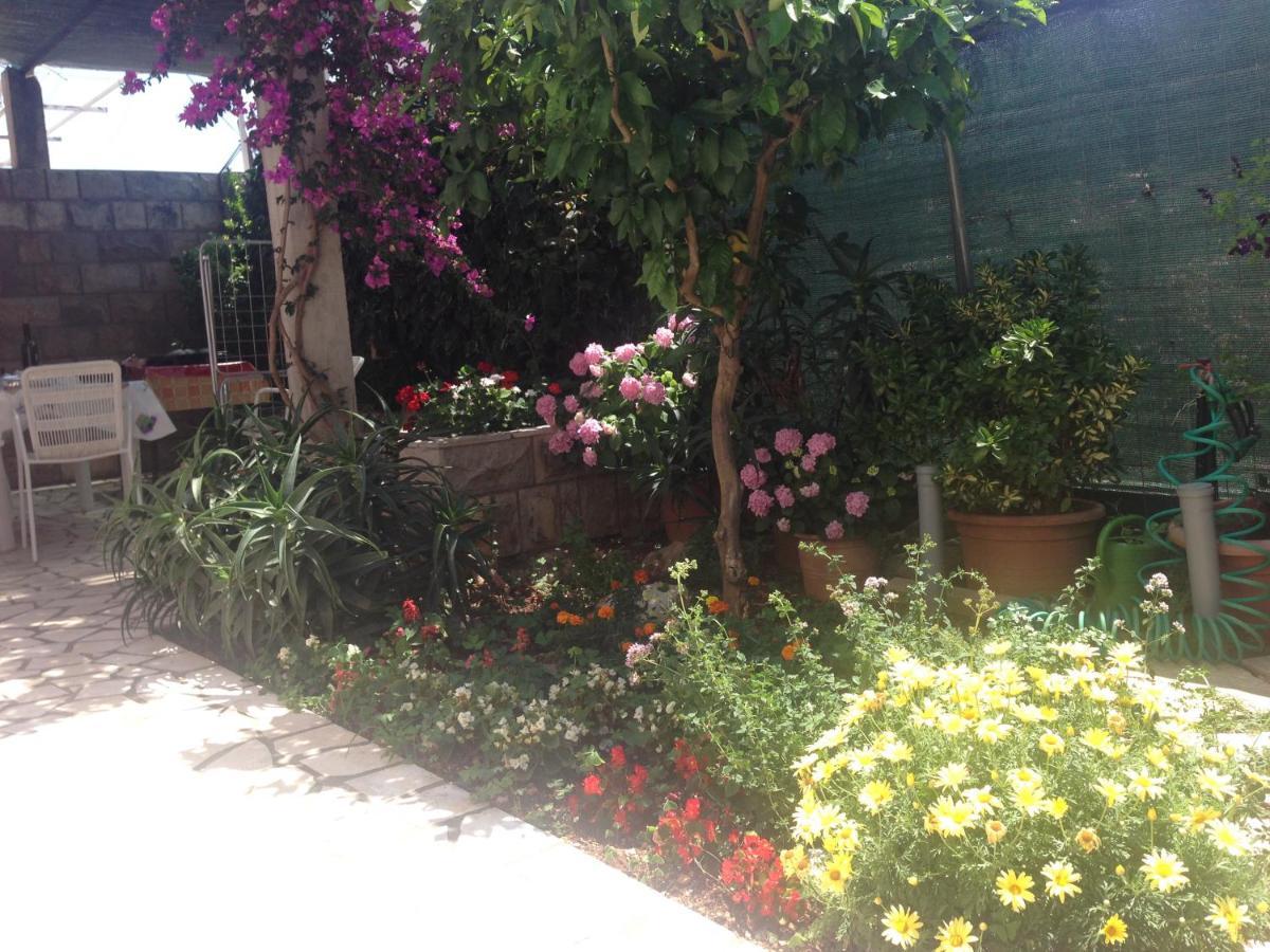 J&L Apartments دوبروفينك المظهر الخارجي الصورة